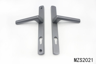 MZS2021