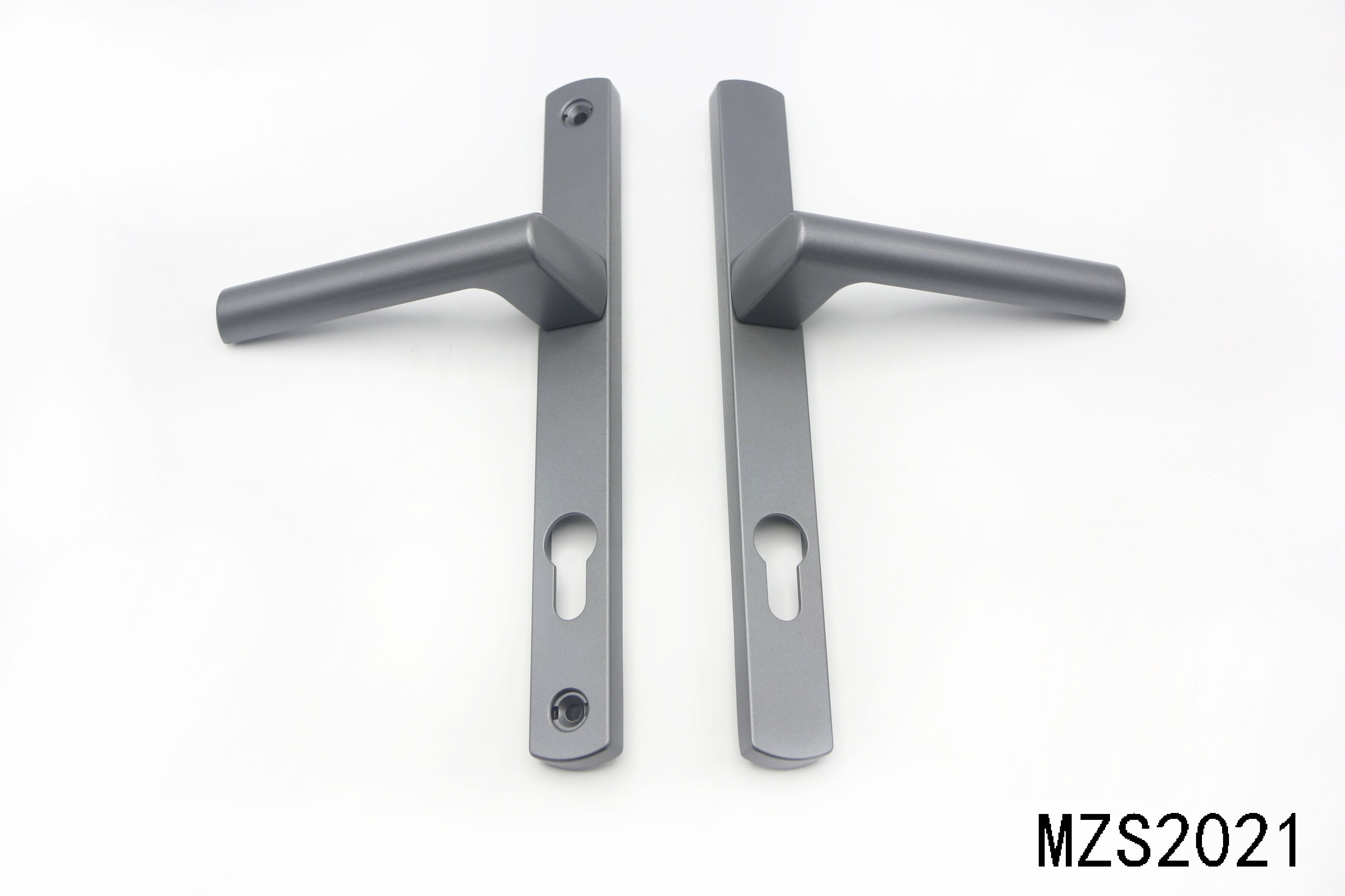 MZS2021