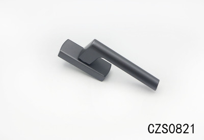 CZS0821